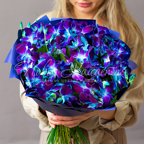 Полуночные блики