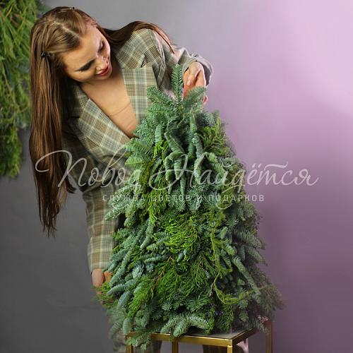 Лесная красавица