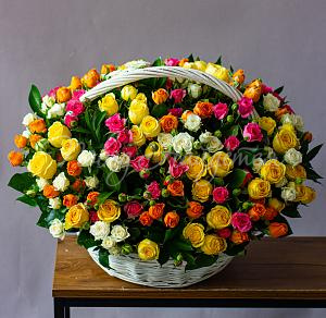 Салвадор