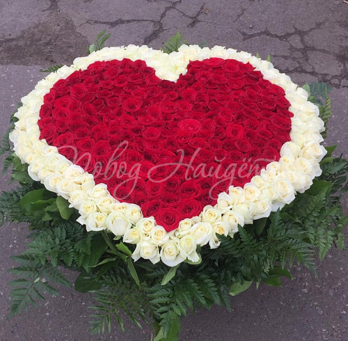 Сердце красавицы
