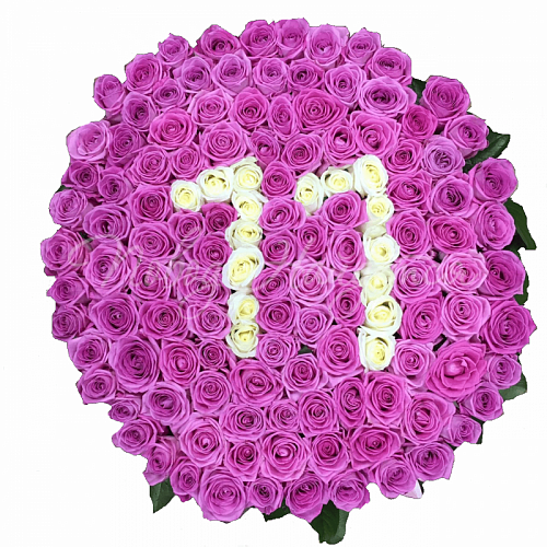 11 лет